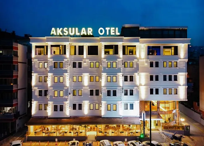 Dog friendly hotels Aksular