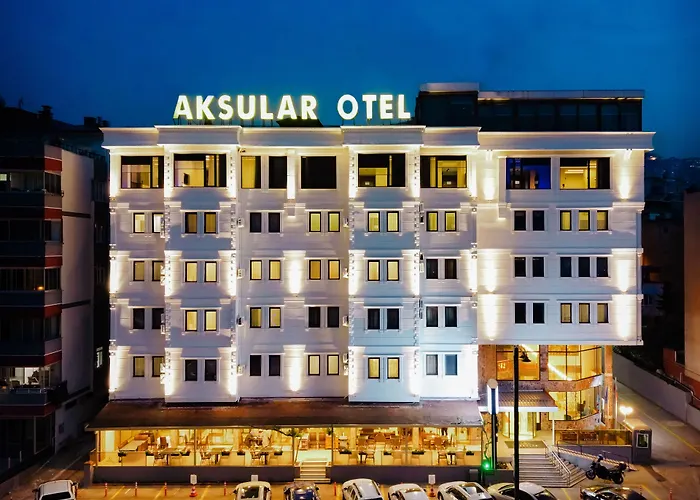 Dog friendly hotels Aksular